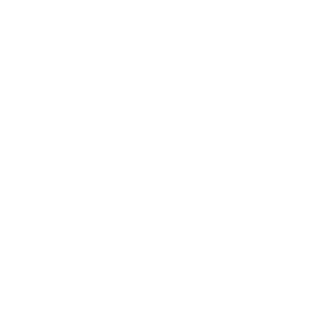 electiix.com